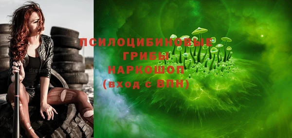 трава Магас