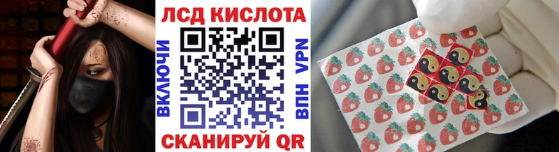 kraken вход  Покров  Марки 25I-NBOMe 1500мкг 