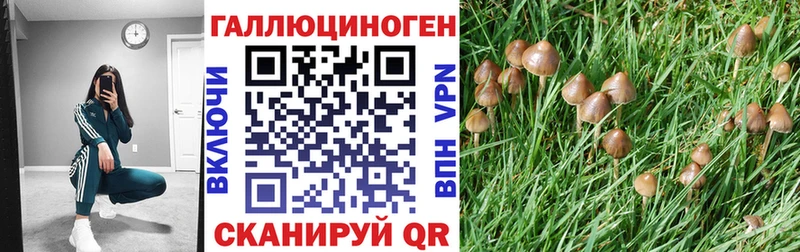 Псилоцибиновые грибы MAGIC MUSHROOMS ссылка на мегу ТОР Покров