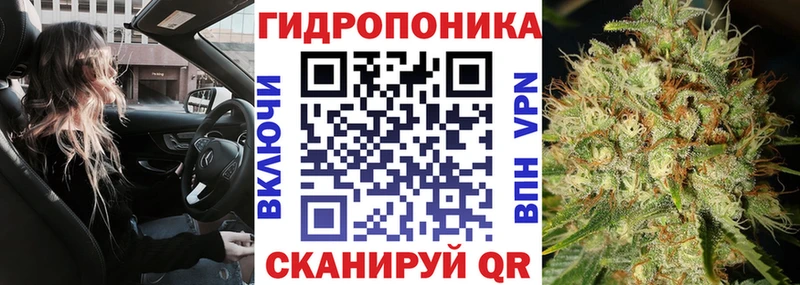 МЕГА онион  Покров  Канабис ГИДРОПОН 